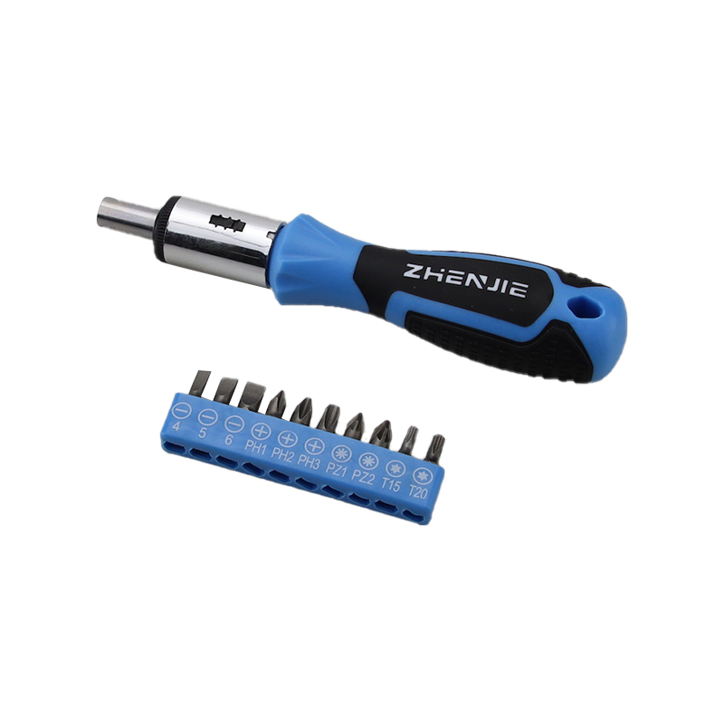 11pcs Bit Holder Coegi & Slotted Phillips Pozidriv Torx Bit Set