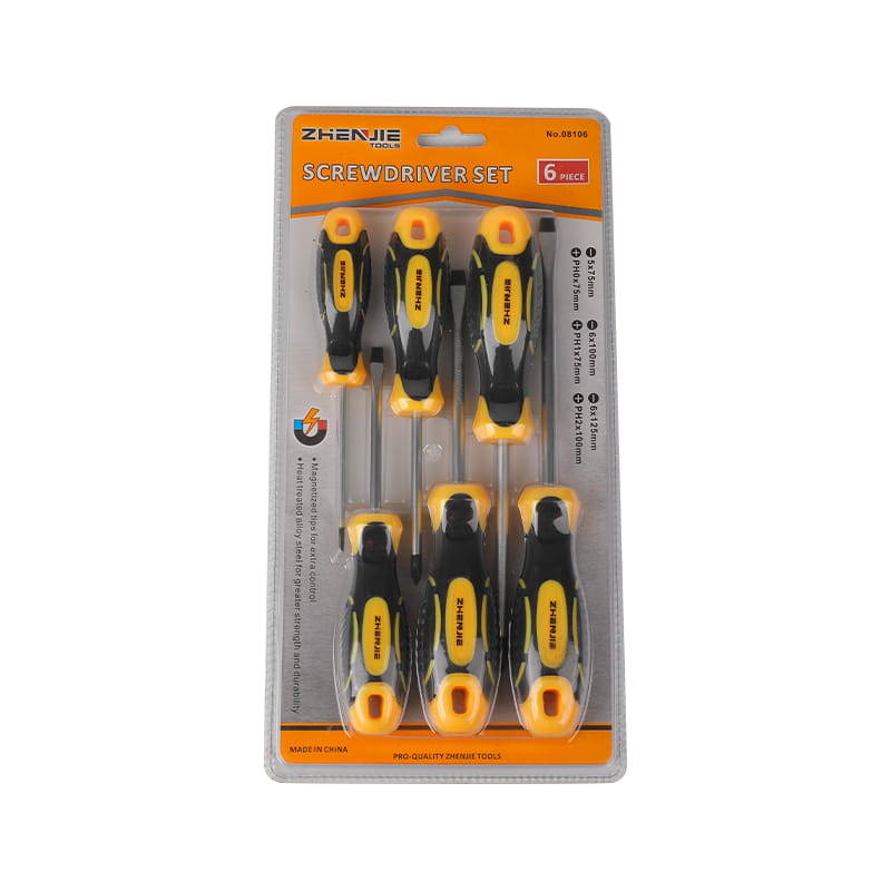 6pcs Magnetized Indicium Slotted & Phillips CRV Screwdriver Set